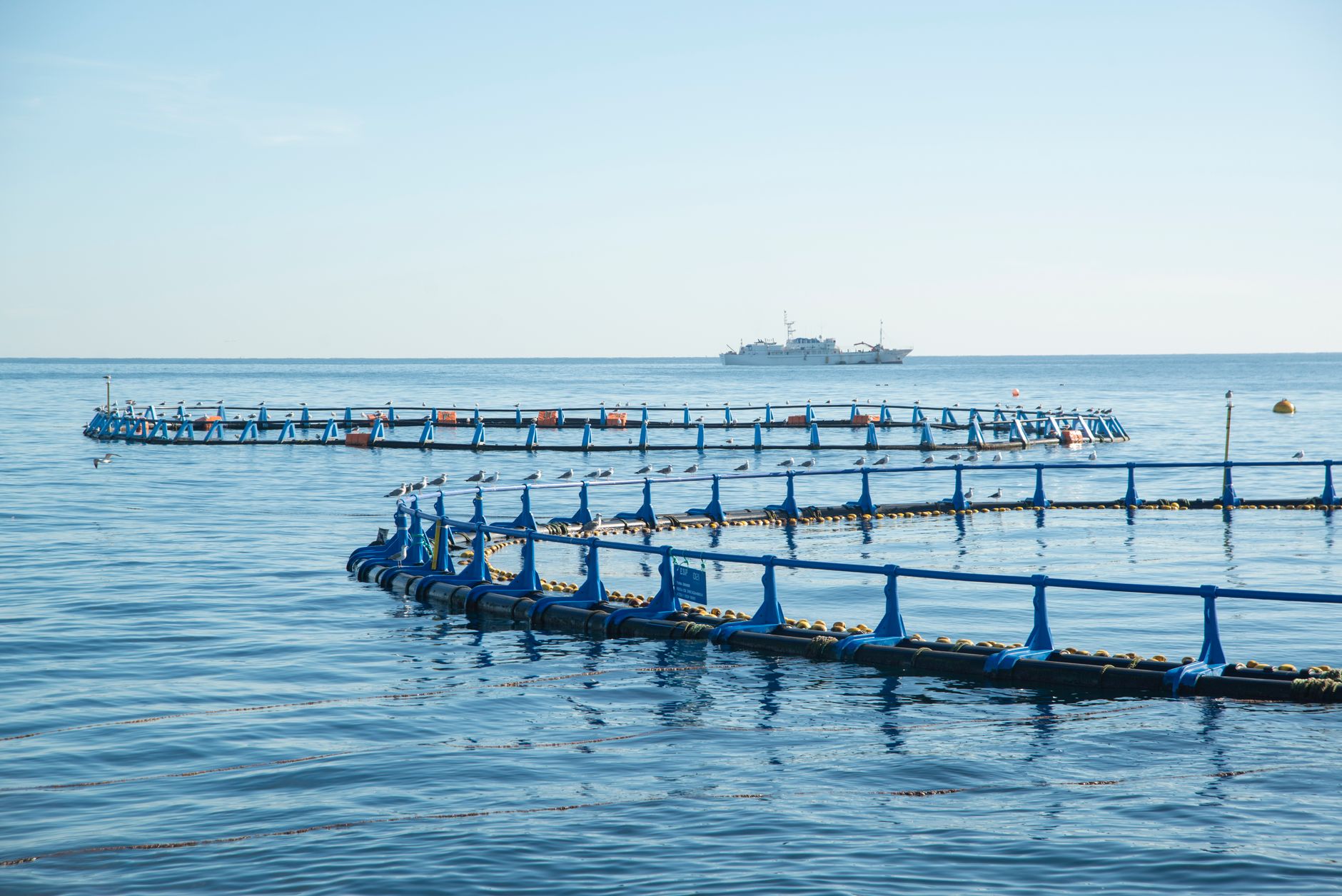W&T Offshore stock