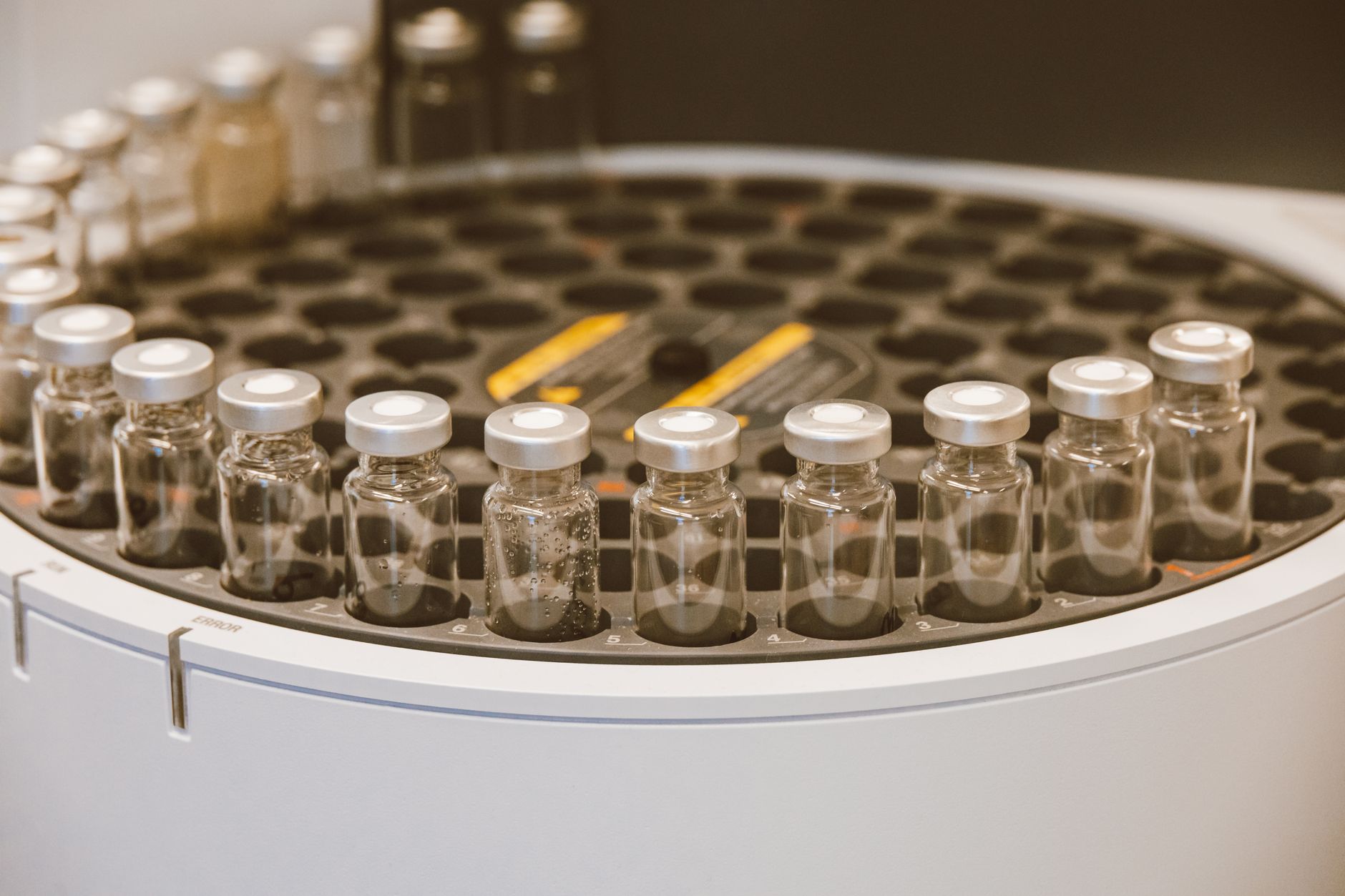 Zetwerk IPO GMP: Is This the Best Listing Gain Opportunity?